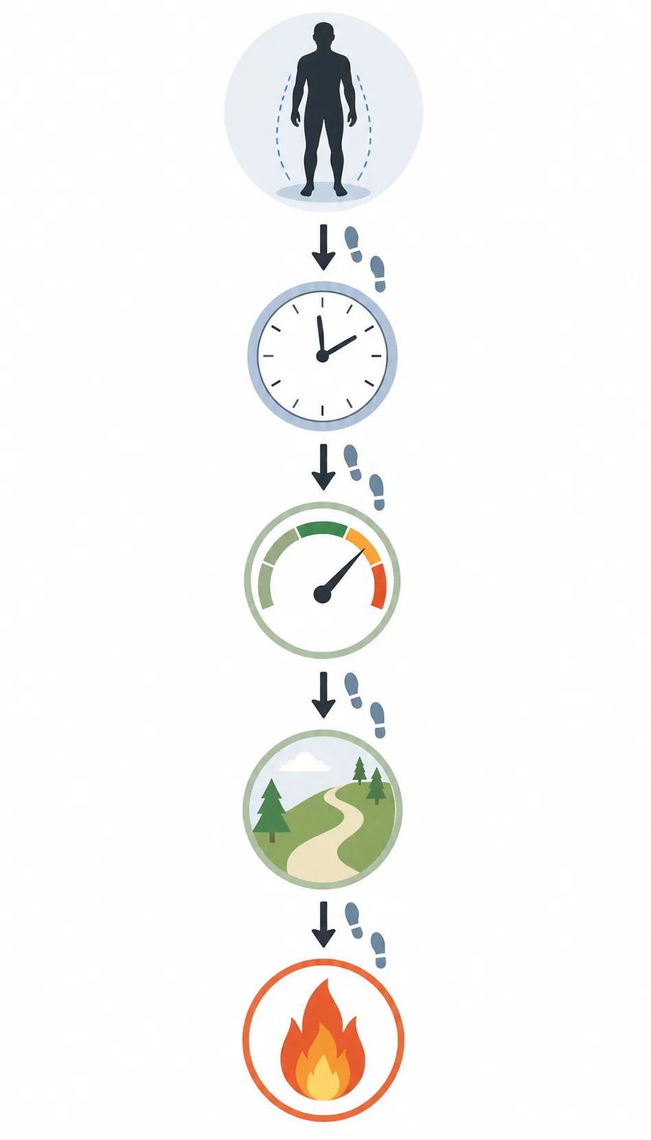 Editorial flow diagram showing body weight, time, pace, terrain, and estimated walking energy use